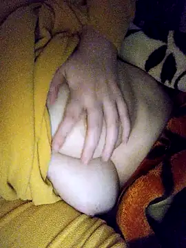 CHahed-5 online show from 14, 12, 2025