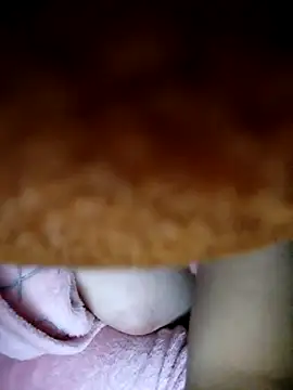 CHahed-5 online show from 7, 1, 2026