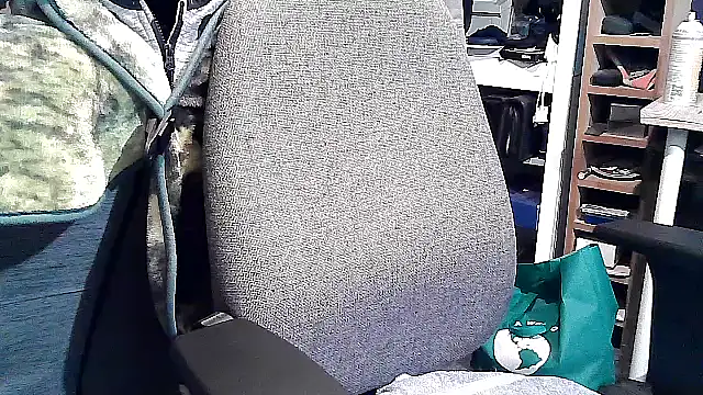 georgew62 online show from 20, 9, 2025