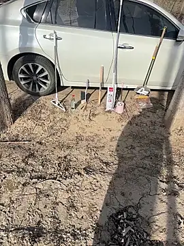 Snapshot of Fengbaby-555 chatting on 3, 2, 2026 Fengbaby-555 online show from 3, 2, 2026