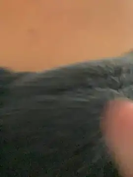 Snapshot of ___seusegredo chatting on 4, 2, 2026 seusegredo online show from 4, 2, 2026