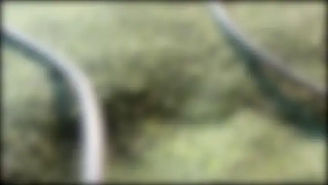 Snapshot of AzureEyes chatting on 24, 2, 2026 AzureEyes online show from 24, 2, 2026