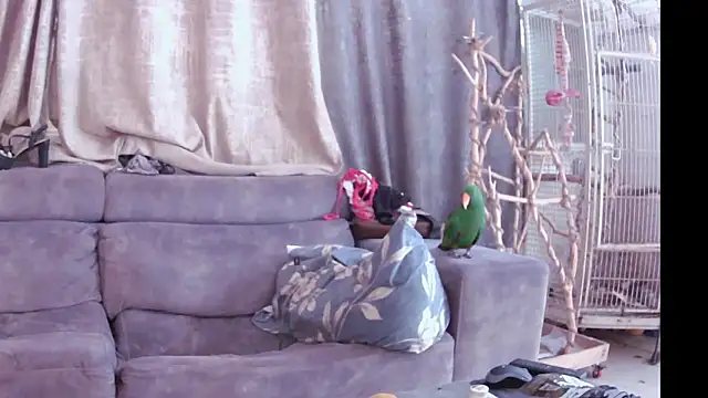 Alexis21821 online show from 13, 11, 2025