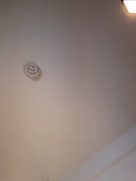 Andrestarr online show from 11, 3, 2026