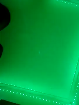 FINEdzaddY10 online show from 13, 3, 2026