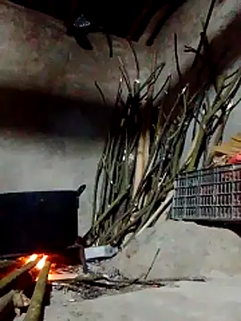 donna-bae online show from 9, 3, 2026