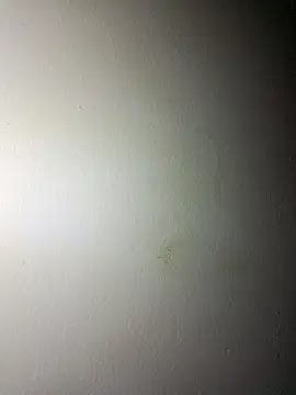 BigD Mikee online show from 17, 12, 2025