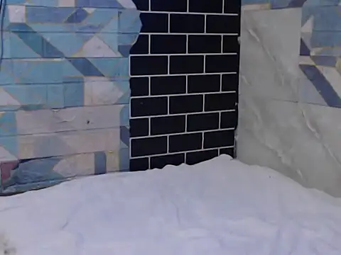 Newt4U online show from 11, 11, 2025