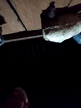 callistra online show from 2, 12, 2025