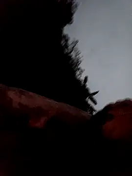 Snapshot of callistra chatting on 13, 3, 2026 callistra online show from 13, 3, 2026