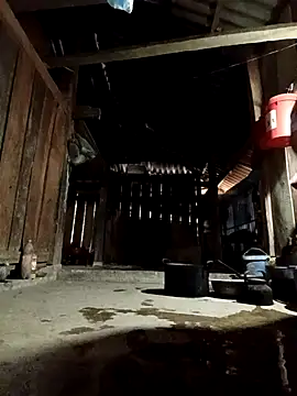 Snapshot of callistra chatting on 7, 4, 2026 callistra online show from 7, 4, 2026