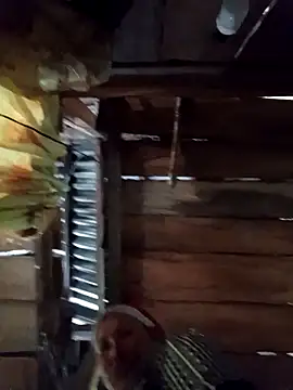 Snapshot of callistra chatting on 9, 4, 2026 callistra online show from 9, 4, 2026