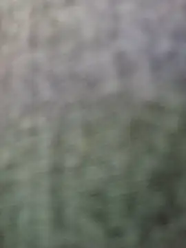 JeffersonRay online show from 7, 1, 2026