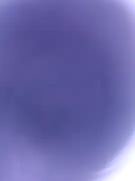 pussybebi online show from 22, 2, 2026