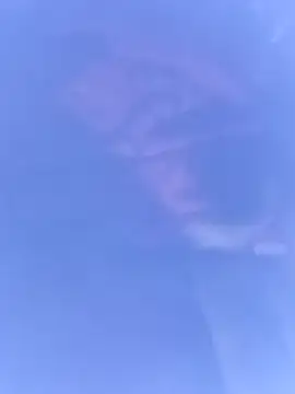 pussybebi online show from 16, 3, 2026