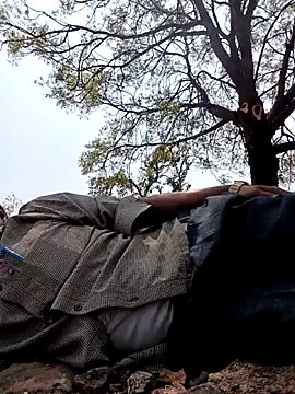 ipvk online show from 18, 3, 2026