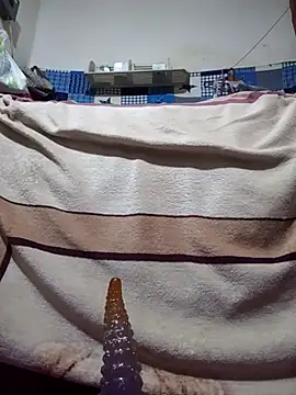 calntt28 online show from 12, 2, 2026