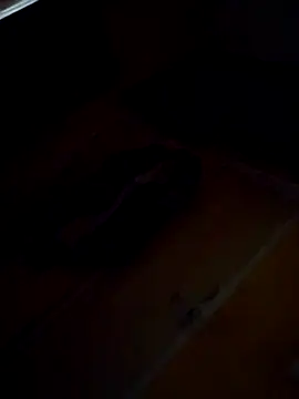 Sumitx007 online show from 24, 9, 2025