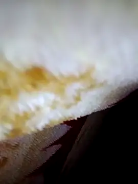 alone boy802 online show from 6, 10, 2025