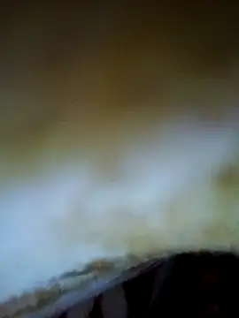 alone boy802 online show from 6, 11, 2025