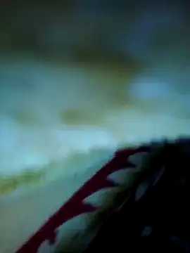 Snapshot of alone_boy802 chatting on 13, 11, 2025 alone boy802 online show from 13, 11, 2025