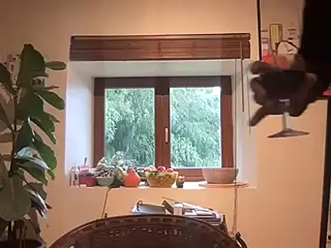 Snapshot of chtentation chatting on 14, 2, 2026 chtentation online show from 14, 2, 2026