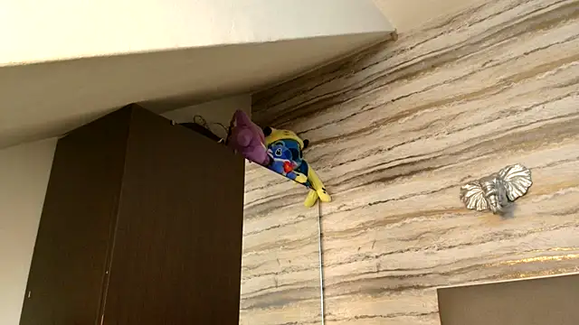 Lovers 21 online show from 6, 1, 2026