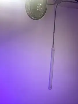 ChloeRosses online show from 6, 3, 2026