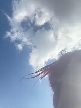 taylor hot85 online show from 7, 3, 2026