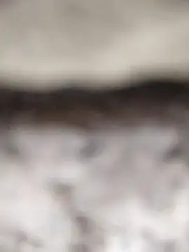 PEEHU-50 online show from 12, 3, 2026