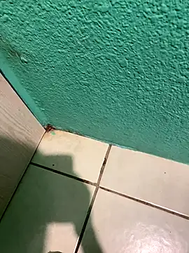 feetbooy online show from 22, 12, 2025