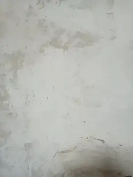 LOVE-VIKA online show from 20, 2, 2026