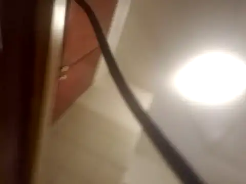 Curious9884 online show from 1, 2, 2026