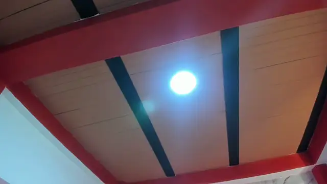 Stefany Andruw online show from 4, 11, 2025