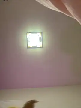 taotaobo online show from 15, 12, 2025