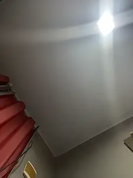 Priihmedeiros online show from 7, 3, 2026