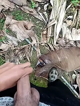 Sikici0734 online show from 13, 11, 2025