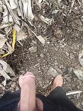 Sikici0734 online show from 2, 2, 2026