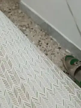 Snapshot of Lucastra98 chatting on 5, 11, 2025 Lucastra98 online show from 5, 11, 2025