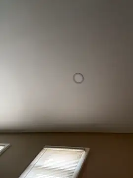 murphdolla online show from 29, 11, 2025