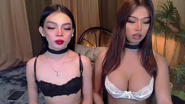 TWINKTRANSSHANEL online show from 6, 10, 2025