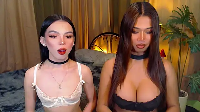 TWINKTRANSSHANEL online show from 8, 10, 2025