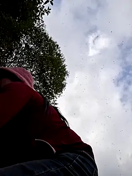 miomio-12 online show from 20, 12, 2025