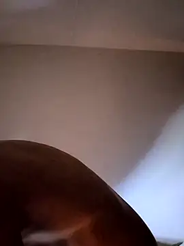 felipelon07 online show from 28, 11, 2025