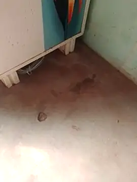 Tg sonam online show from 23, 12, 2025