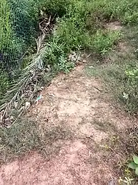 MalickKai online show from 14, 10, 2025