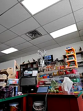 Snapshot of Cassaroll333 chatting on 30, 11, 2025 Cassaroll333 online show from 30, 11, 2025