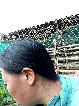 jerry-xx online show from 18, 1, 2026