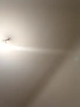 labellerose online show from 9, 1, 2026