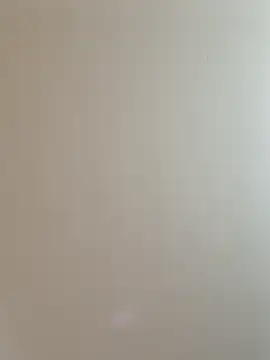 labellerose online show from 25, 2, 2026